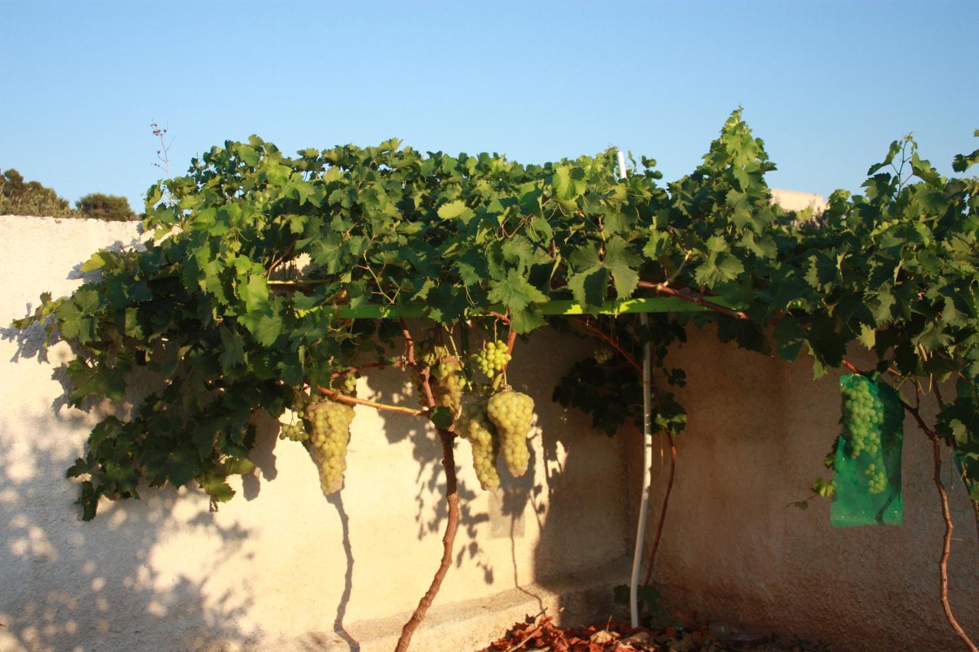 Casa Solare Rakalia Vila Spano Exterior foto